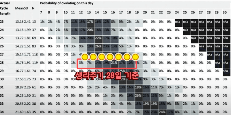 생리주기별-난자생성-가능성