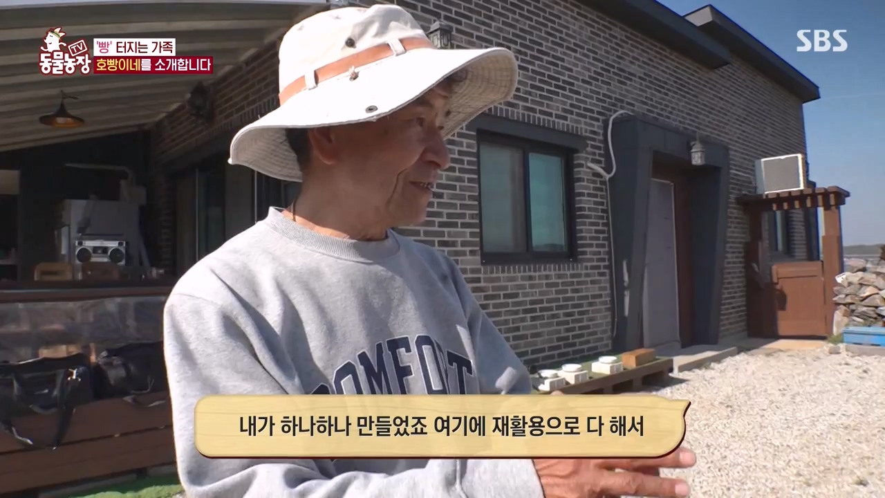 TV 동물농장.E1147.231127p-NEXT.mp4_20231126_170346.918.jpg