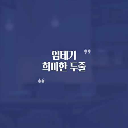 임테기 희미한 두줄