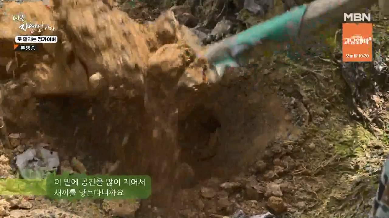 나는 자연인이다.E580.231116p-NEXT.mp4_20231116_202502.558.jpg