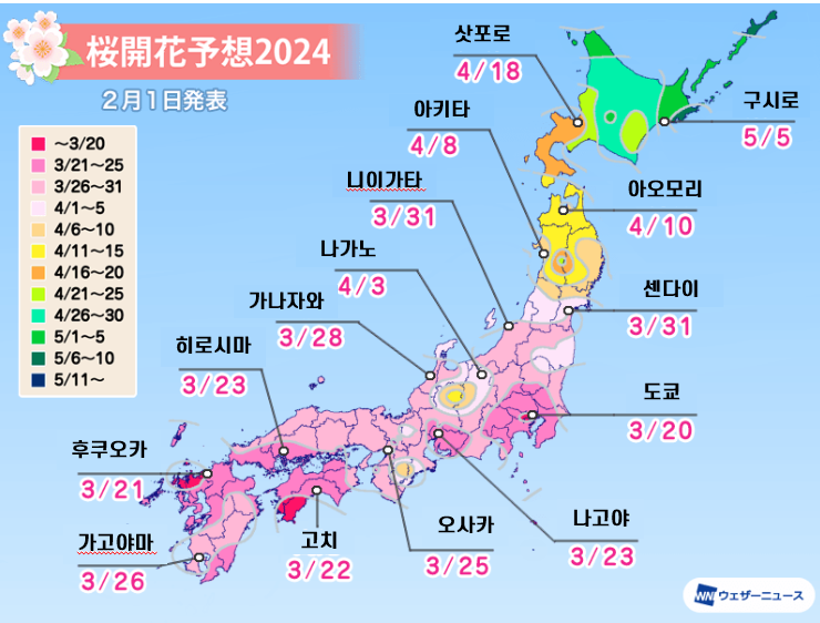 일본 벚꽃 개화시기