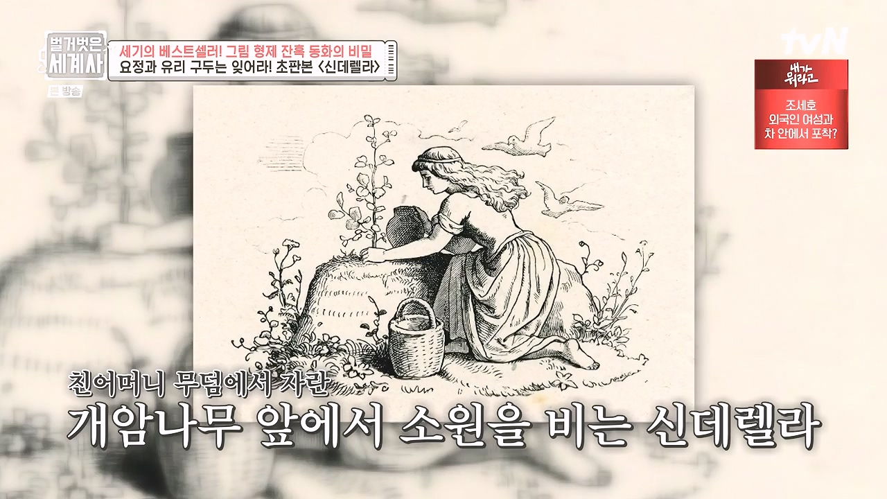 벌거벗은 세계사.E125.231115p-NEXT.mp4_20240601_175719.411.jpg