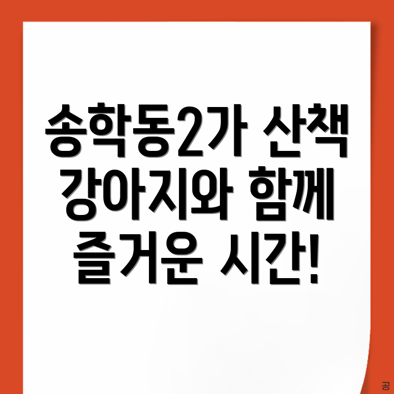 강아지 산책