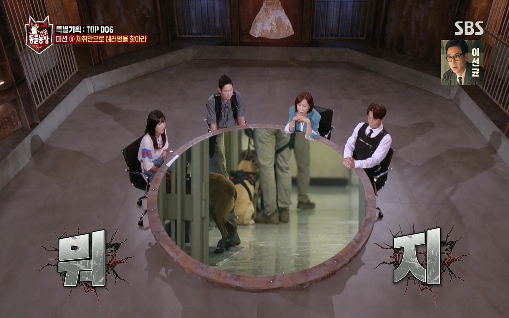 TV 동물농장.E1086.220911p.H264-F1RST.mp4_20220911_175422.827.jpg