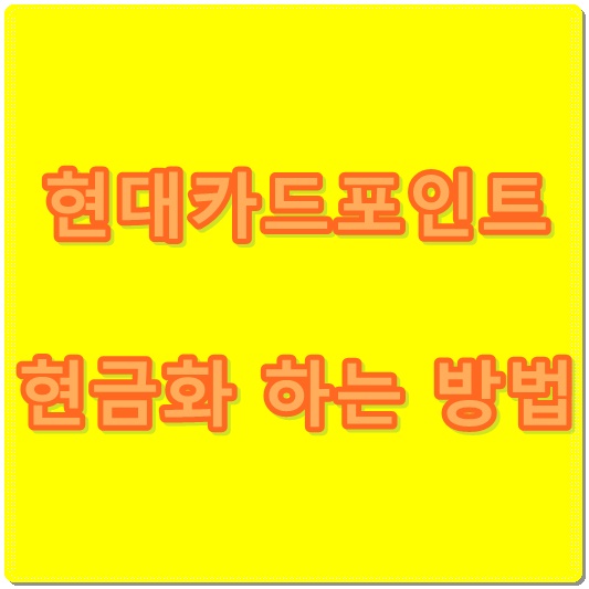  현대카드 포인트 사용 : 현금화 하는 방법