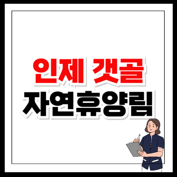 인제 갯골 자연휴양림 예약부터 시설 이용