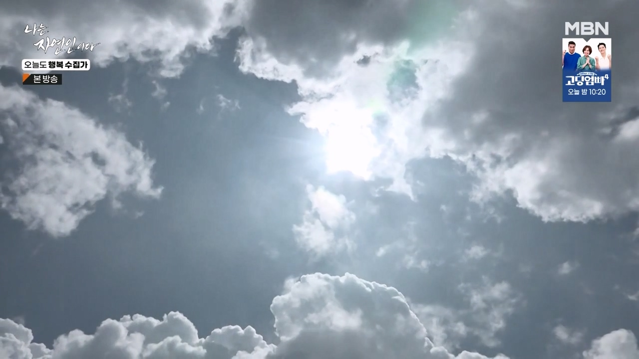 나는 자연인이다.E578.231102p-NEXT.mp4_20231102_194455.615.jpg