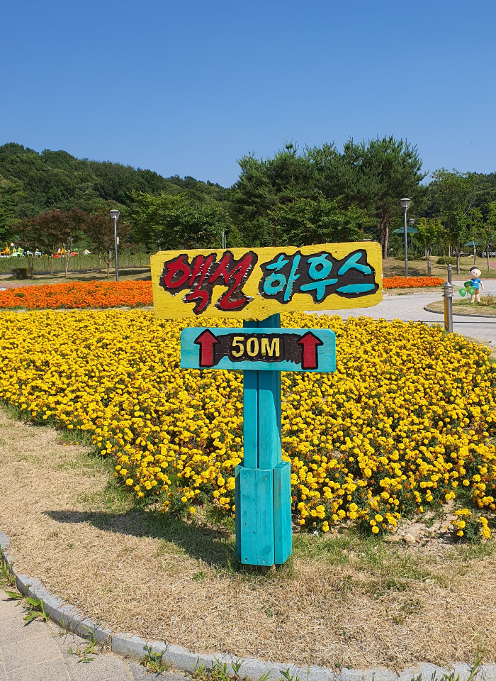 액션하우스-표지판