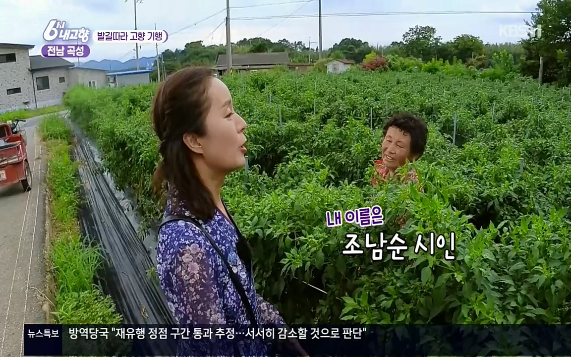 6시 내고향.E7608.220832p.H264-F1RST.mp4_20220901_204419.865.jpg