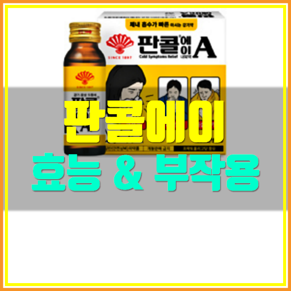  판콜 에이 복용법