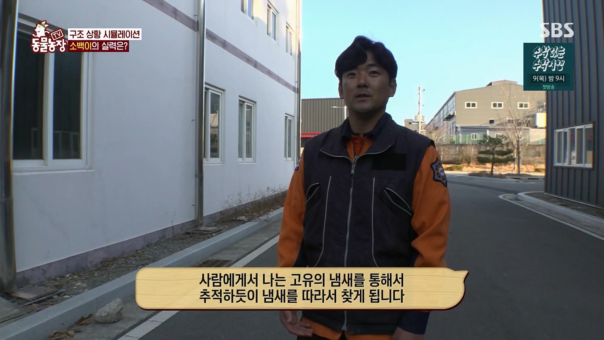 TV 동물농장.E1109.230226p.H264-F1RST.mp4_20230226_161921.732.jpg
