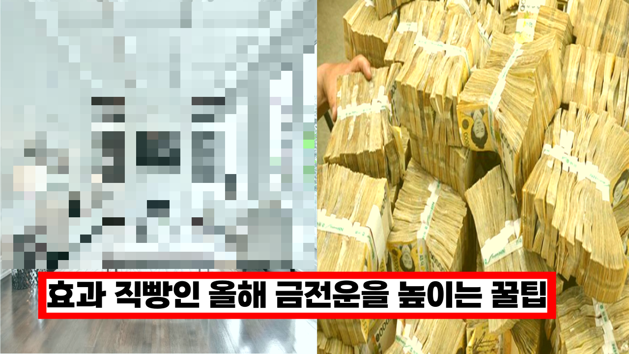  '효과 직빵' 올해 금전운을 좋게 바꾸는 빠르고 효과적인 방법