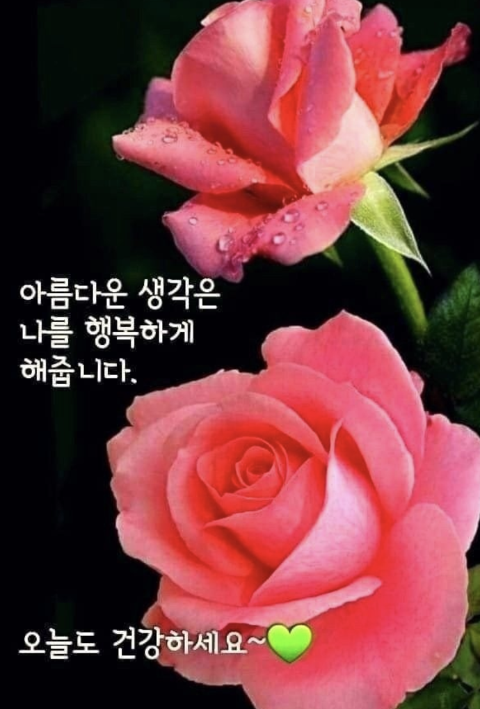 수요일 아침인사말