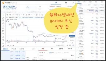 김치코인 종류 전망_21