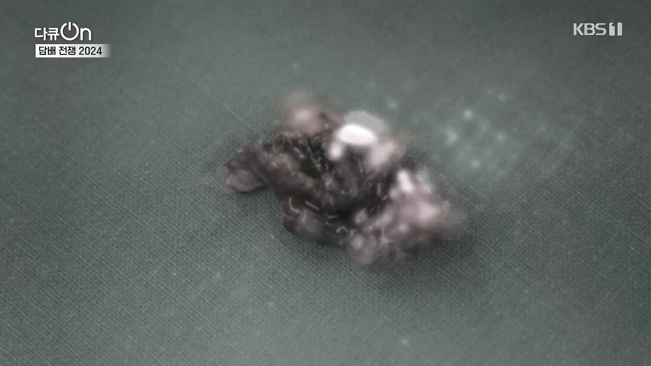다큐 온.E253.240616p-NEXT.mp4_20240616_161153.694.jpg