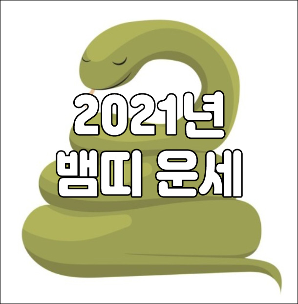  2021년 신축년 뱀띠 운세 사주