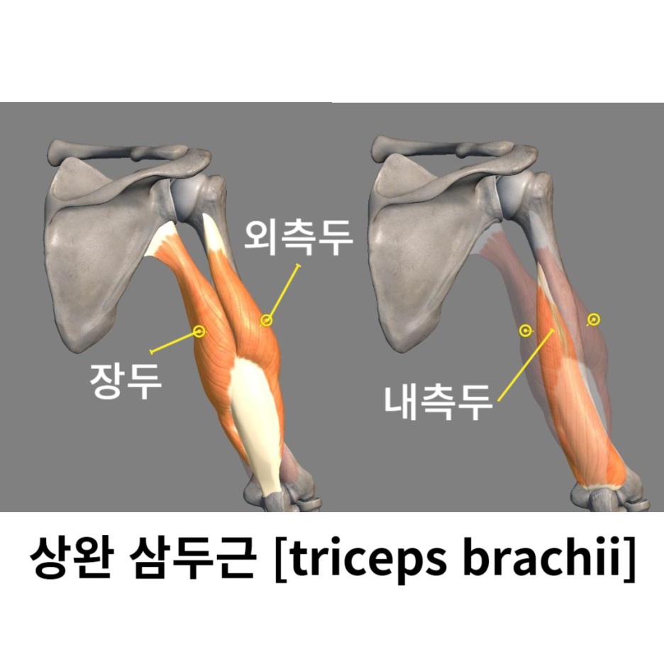 바디에이프PT 이미지