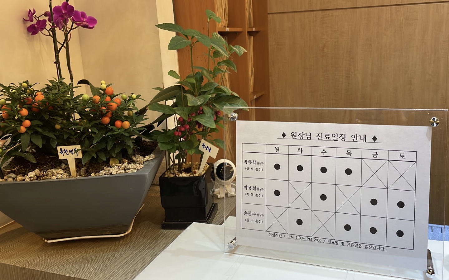 은평구 박정신건강의학과 진료일정입니다.