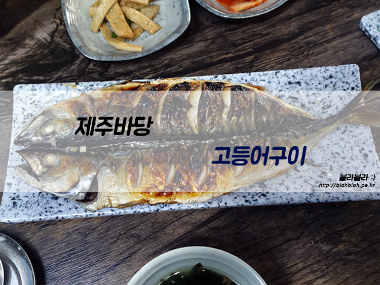 구어판다 이미지