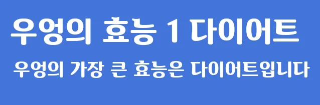 우엉의 효능 1 다이어트 우엉의 가장 큰 효능은 다이어트입니다