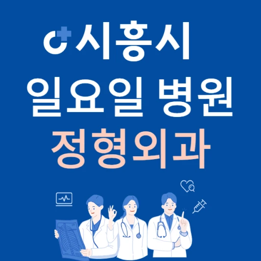 경기도-시흥시-일요일-정형외과-진료하는곳-주말에-문여는-시흥시-24시간-정형외과-병원-찾기