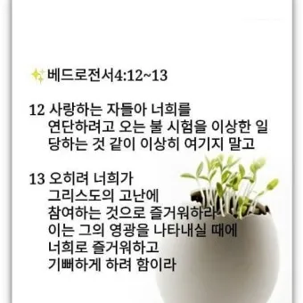 베드로전서 4장 청지기의 비유 성경 묵상_8