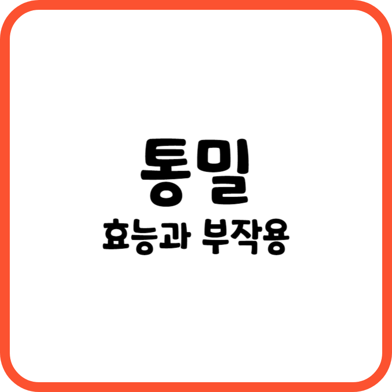 통밀 효능과 부작용