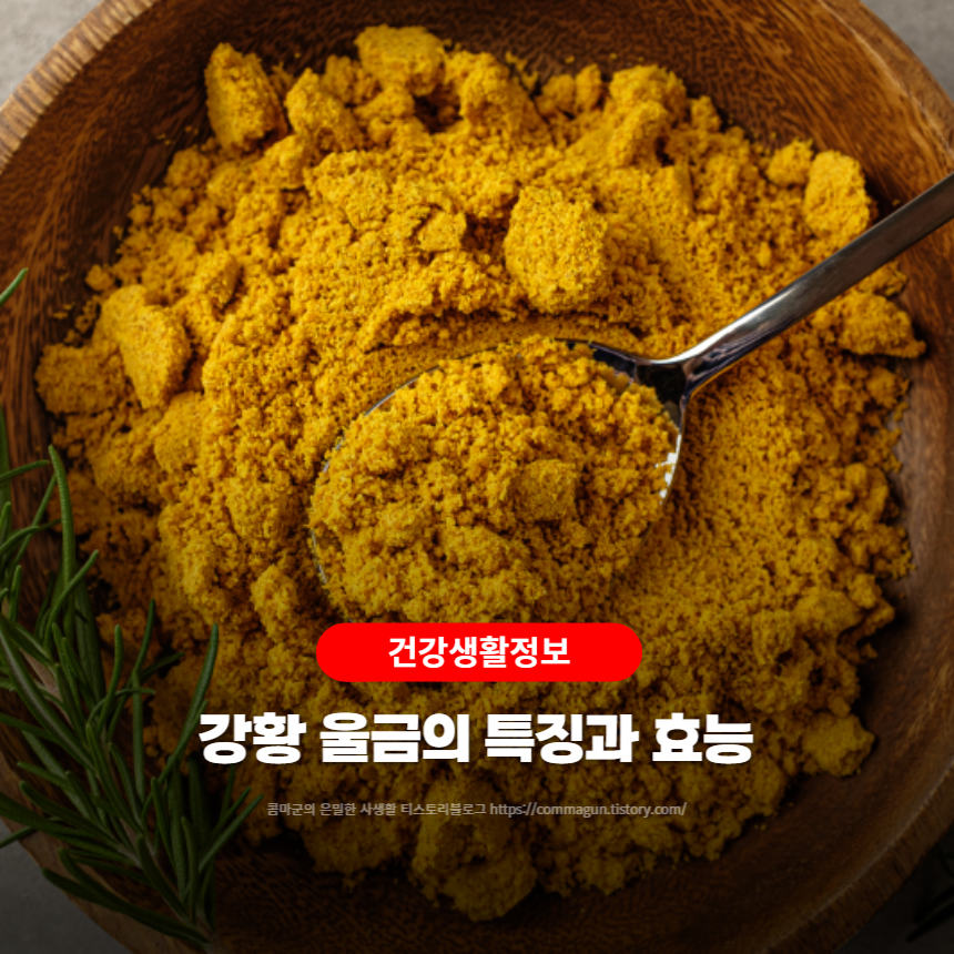  건강생활정보 - 강황 울금의 특징과 효능