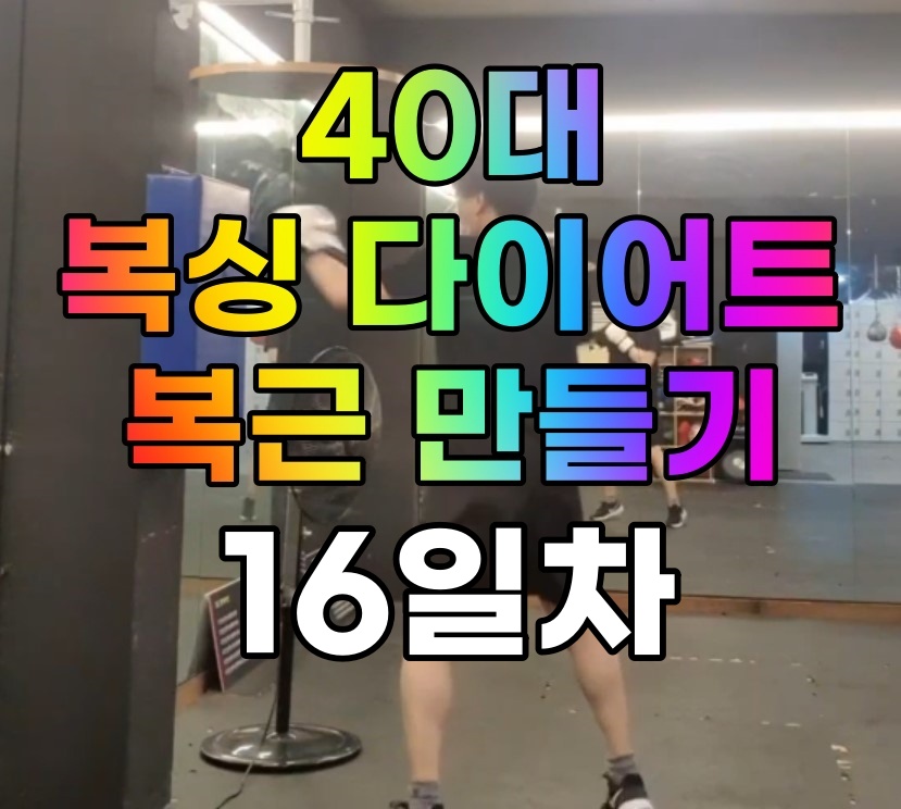  [사복복]사십대 복싱 다이어트로 복근 만들기 #16일차 (원투 4차)
