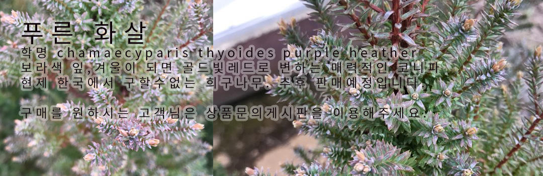  해외식물배송