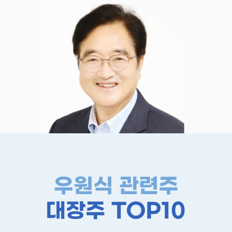 우원식 관련주 대장주 테마주 TOP10 : 국회의장