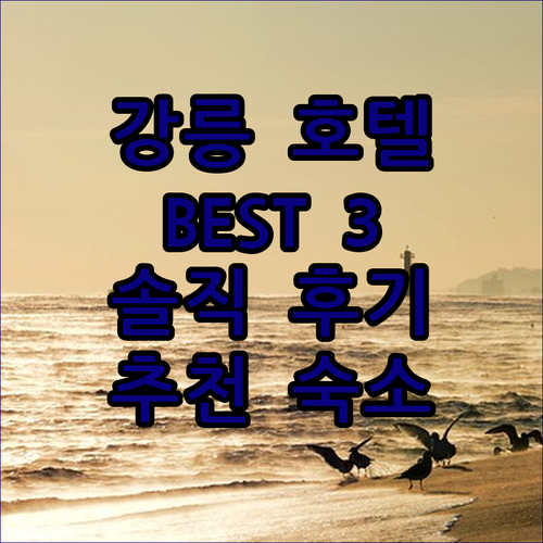 강릉 인기 호텔 3곳 파인아트라벨, 