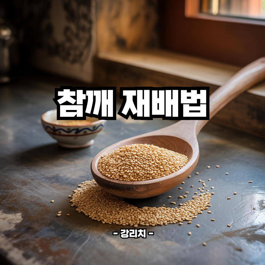 참깨 파종시기