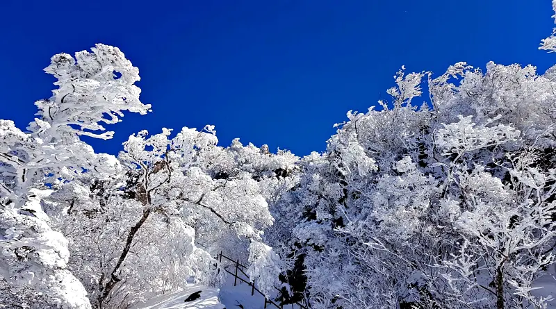 지리산 설경 상고대