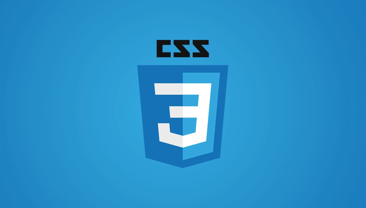  [vendor prefix] css 옵션에서 넣을 수 있는 webkit, moz, ms