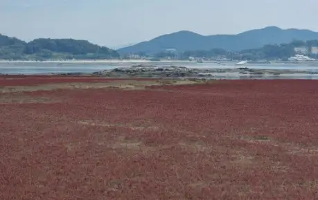강화 석모도 보문사