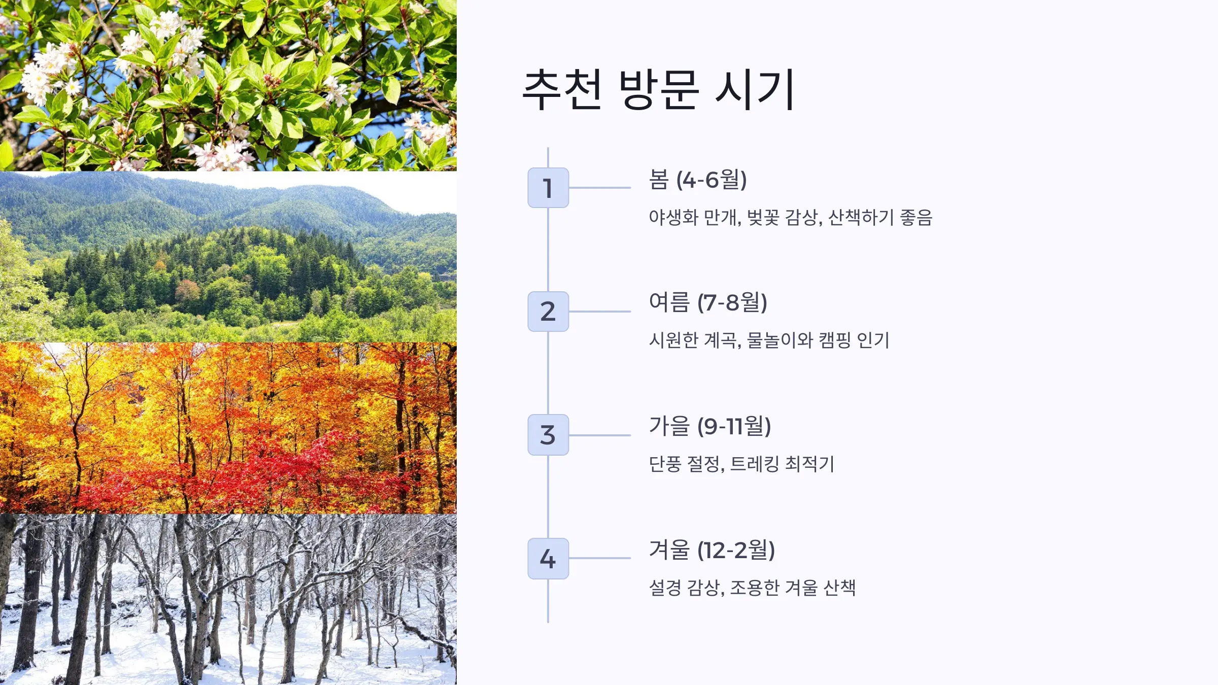 알프스 자연휴양림