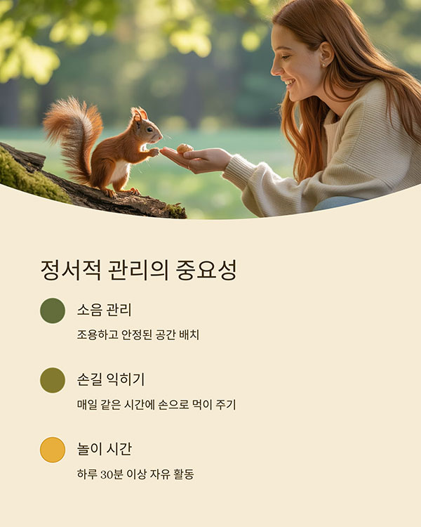 정서적 관리