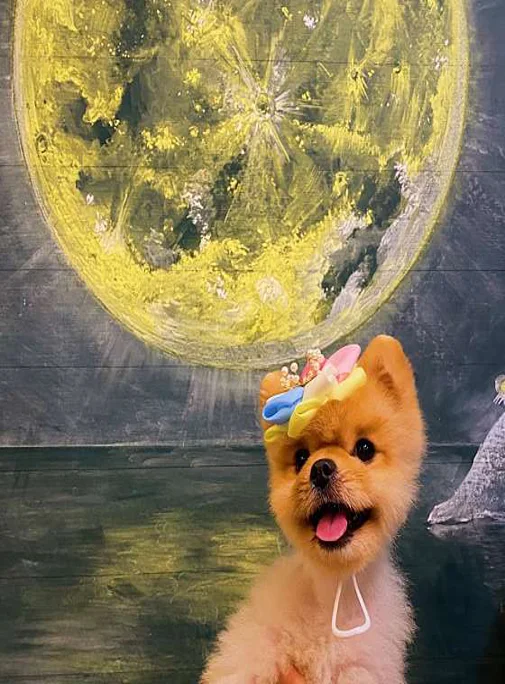 징검다리연구소