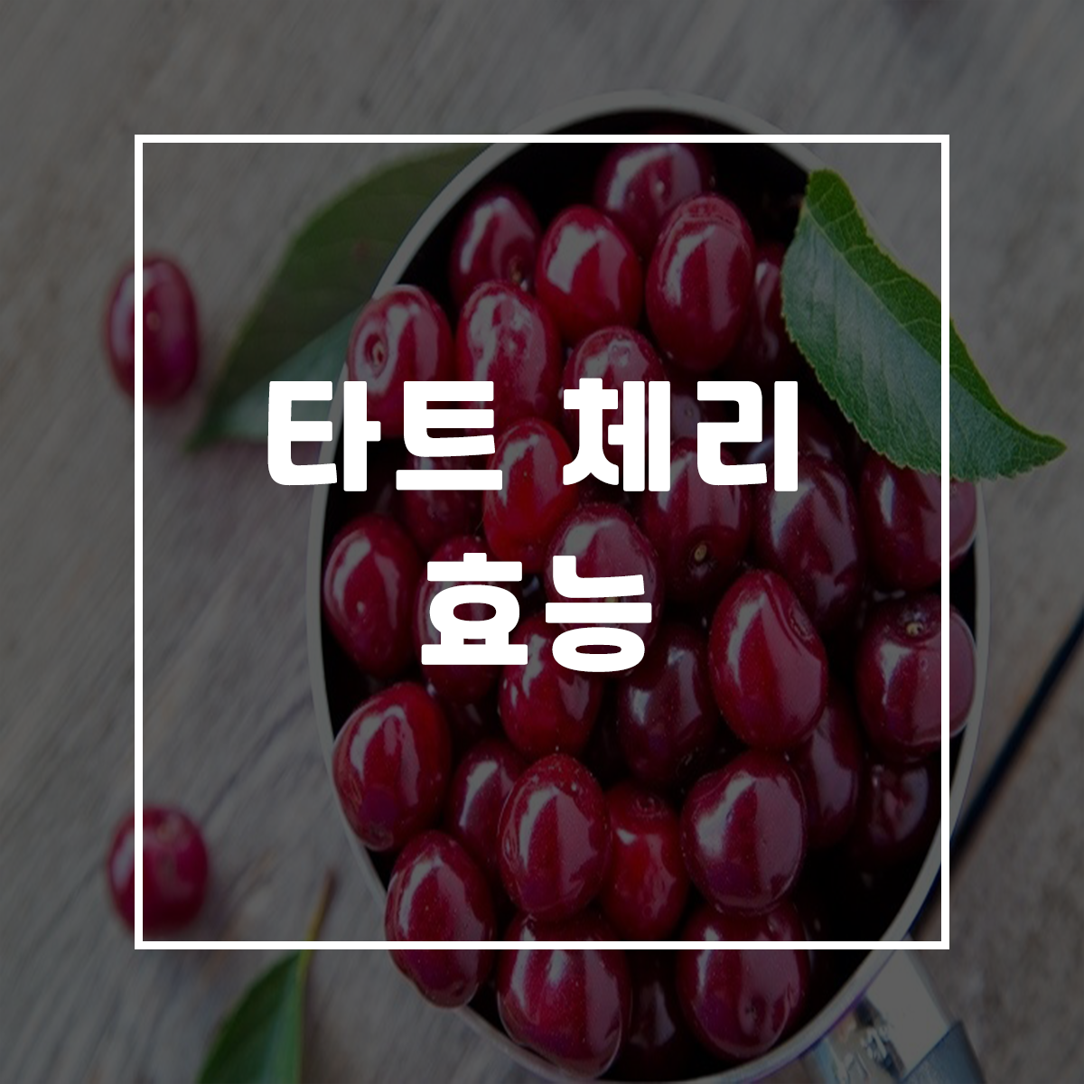  타트체리 효능