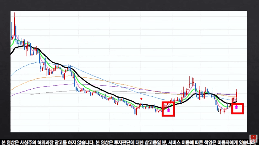 금양 및 LS 머터리얼즈 주가전망