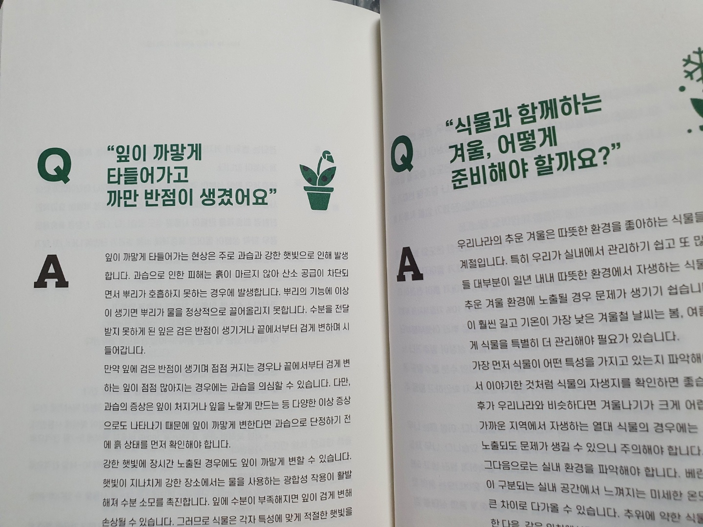 식물키우기에-대한-고민상담-내용-책페이지