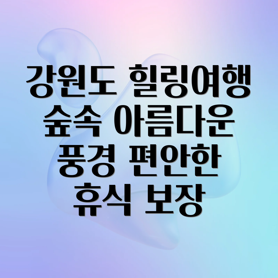 강원도 숲 힐링