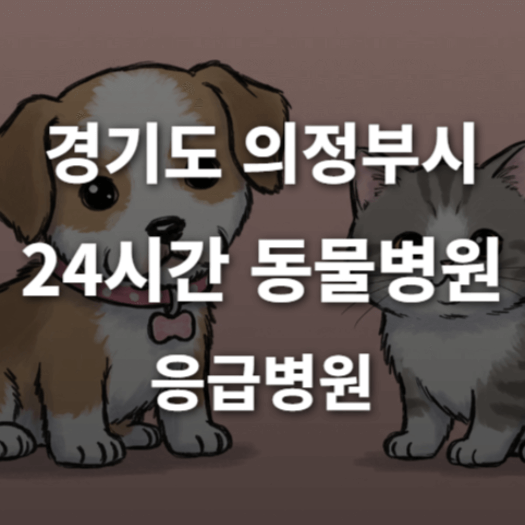 [경기도 의정부시 24시간 동물병원(민락동, 의정부동)] 365일 연중무휴 반려동물 응급상황 대처 가능한 진료소