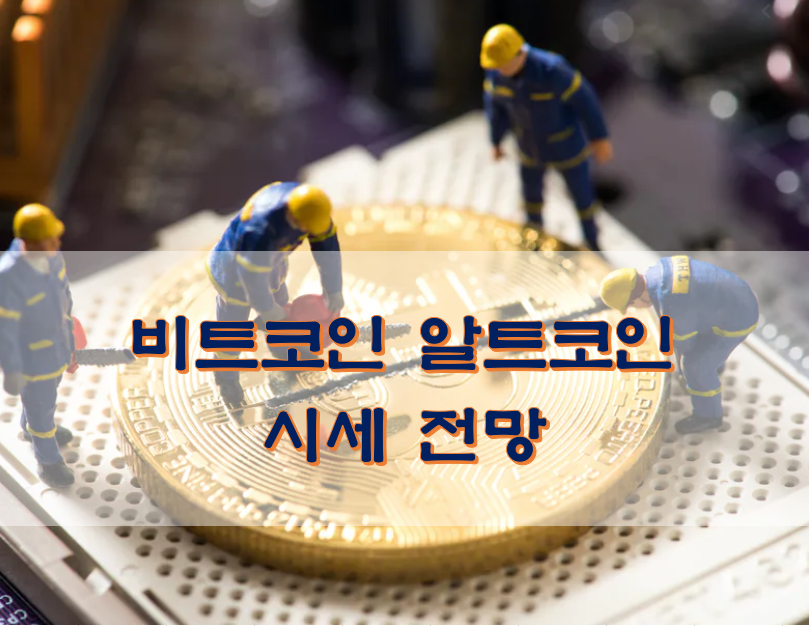  비트코인 알트코인 시세 전망