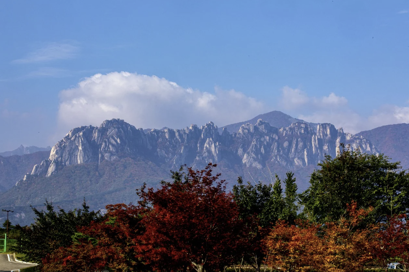 설악산 케이블카 요금안내