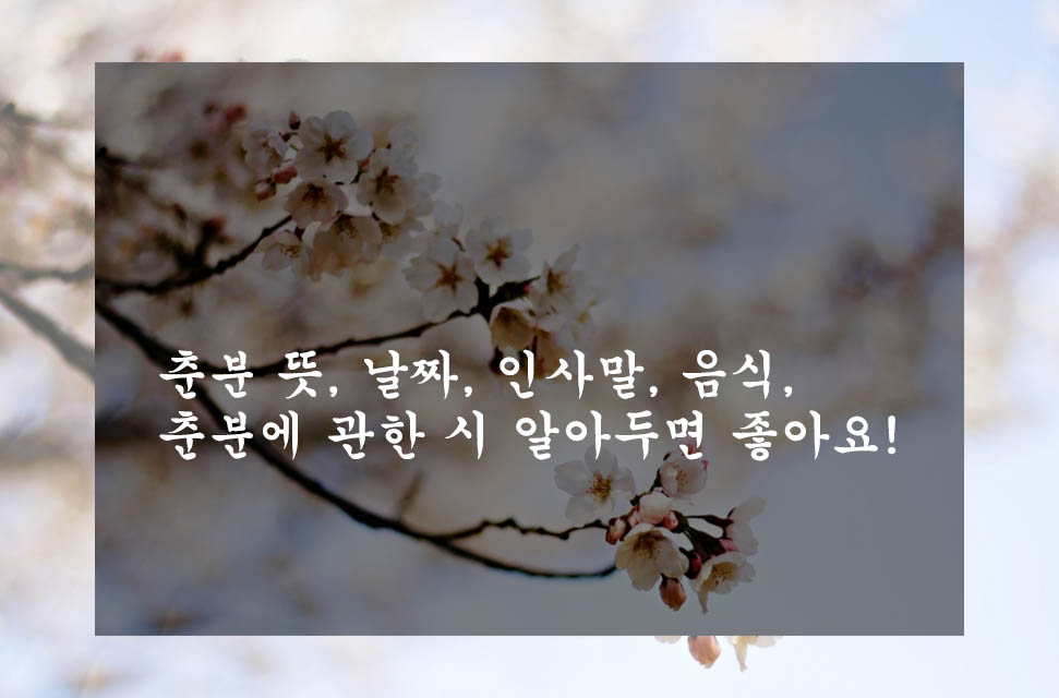 춘분 뜻&#44; 날짜&#44; 인사말&#44; 음식&#44; 춘분에 관한 시 알아두면 좋아요!