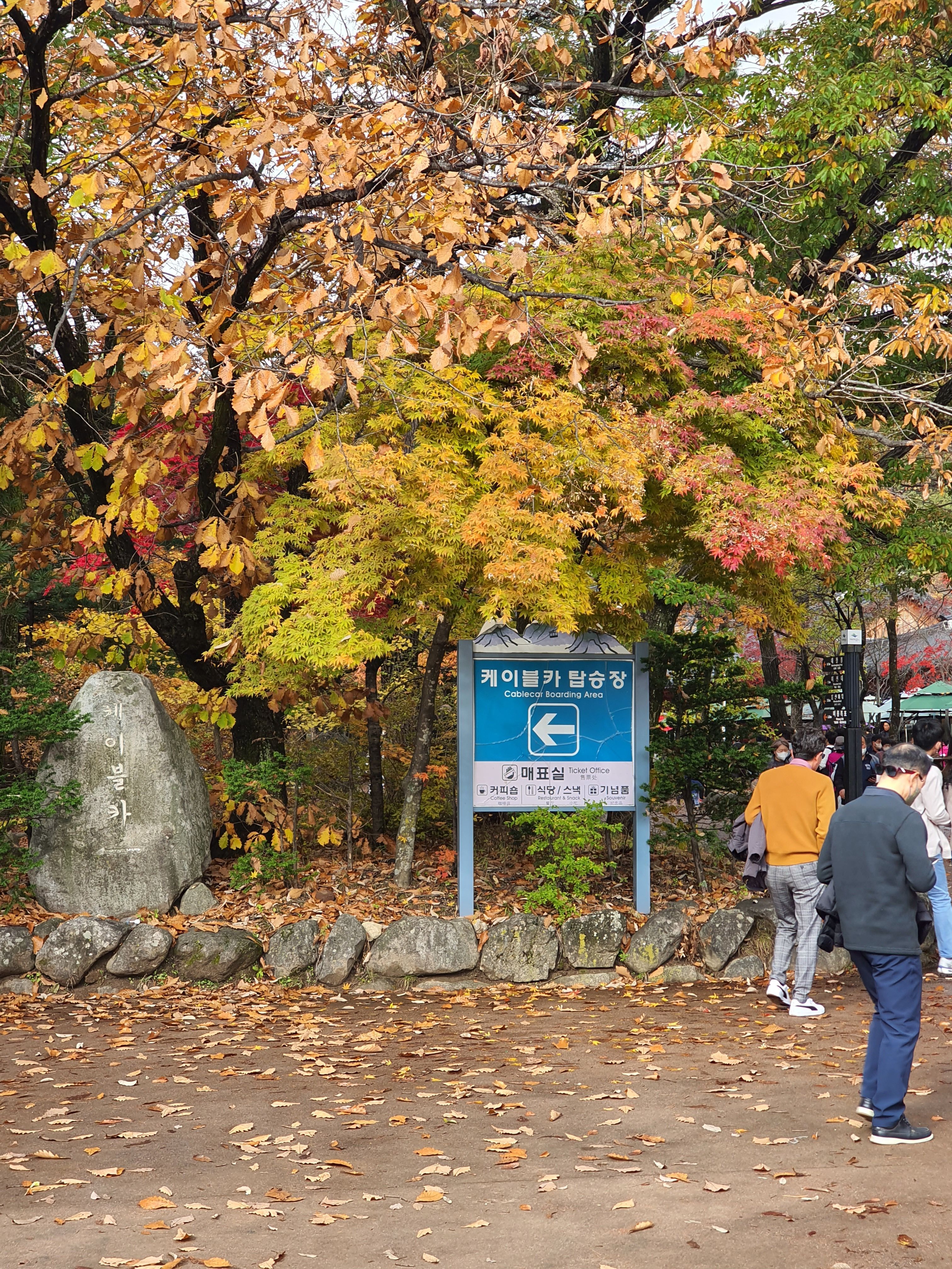 etc-image-6