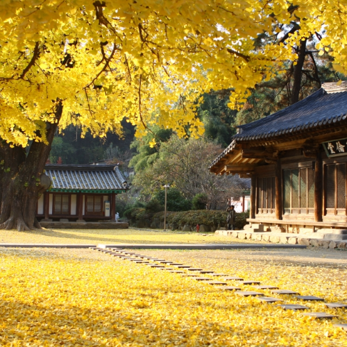  전주 가볼만한곳 베스트10 가을에도 좋구나