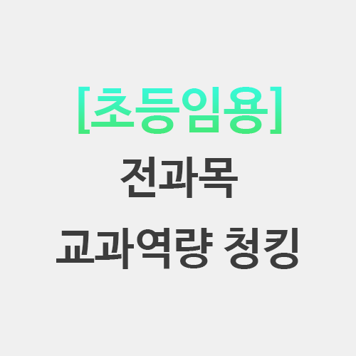  초등임용 전과목 교과역량 청킹 정리